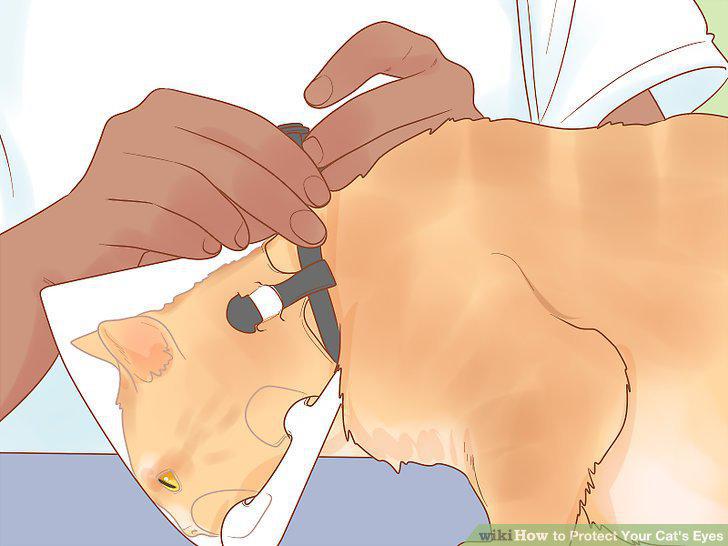 Step 14