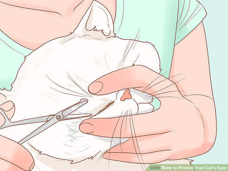 Step 5