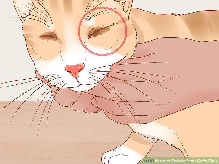 Step 9