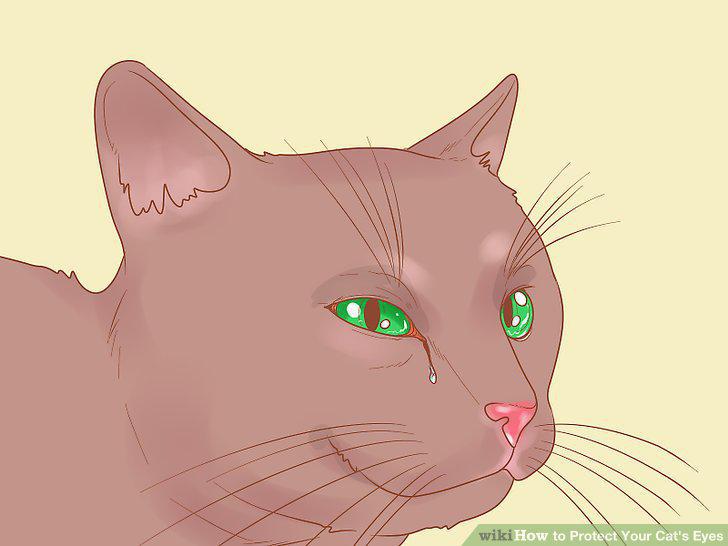 Step 10