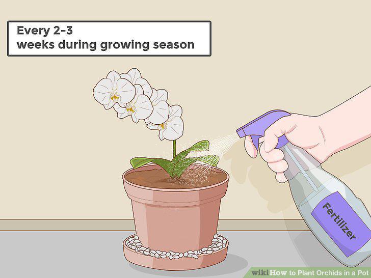 Step 11
