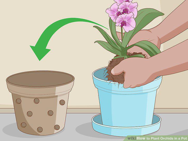 Step 13