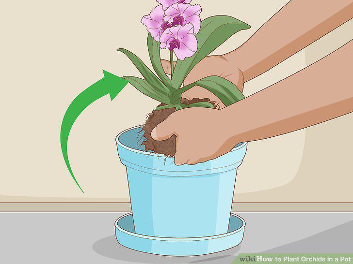 Step 5