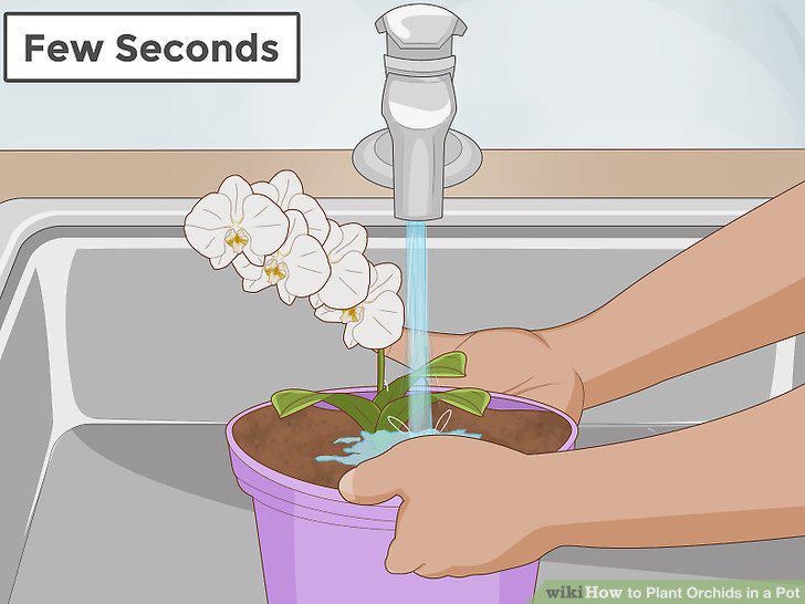 Step 9