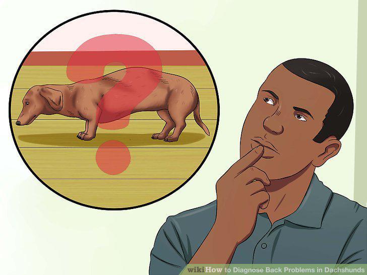 Step 11