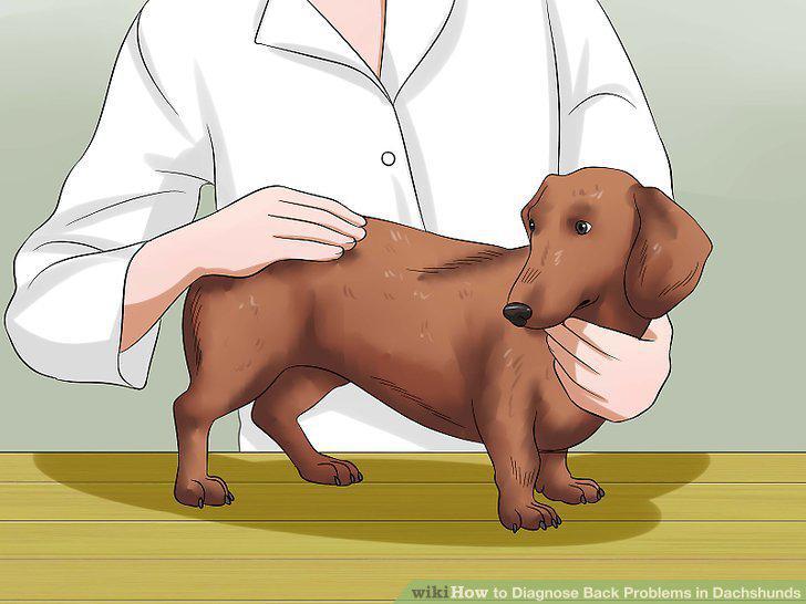 Step 5
