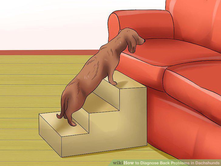 Step 9