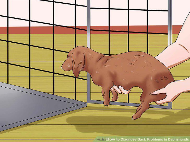 Step 10