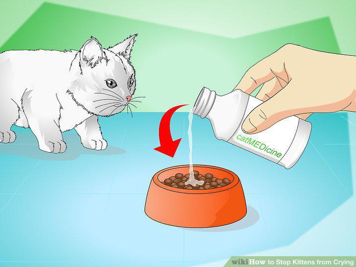 Step 12