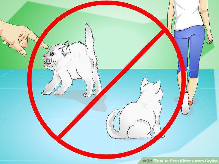 Step 13