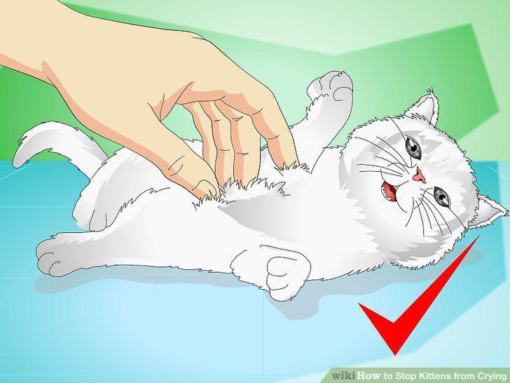 Step 8