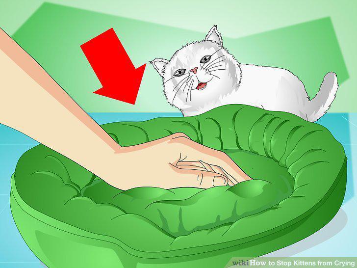 Step 9
