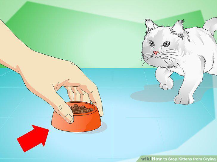 Step 10