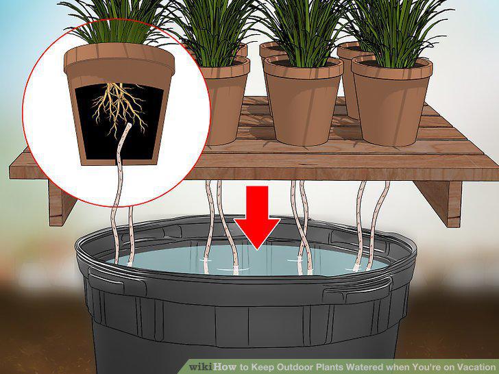 Step 11