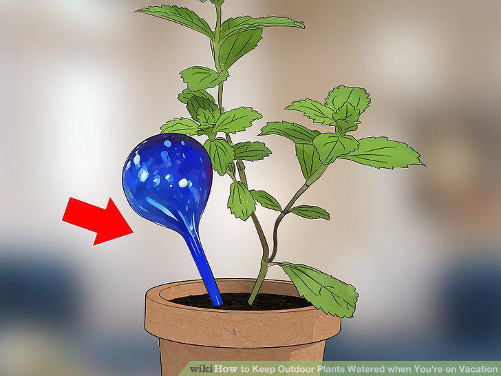 Step 8