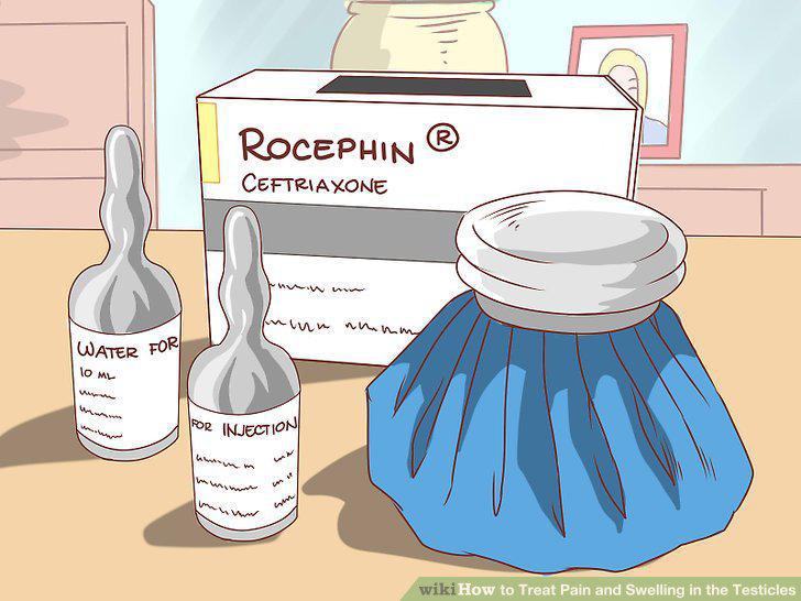 Step 13