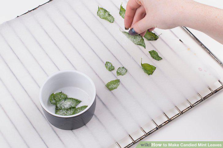 Step 15