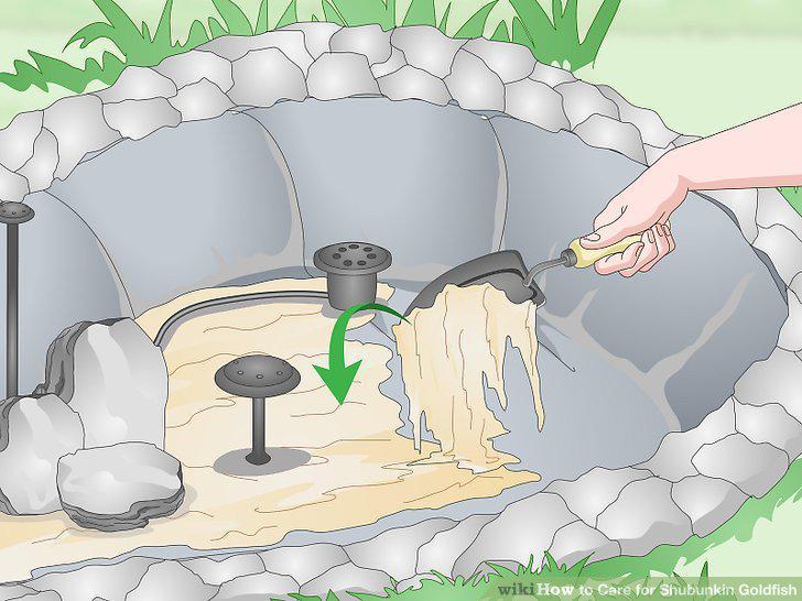 Step 11