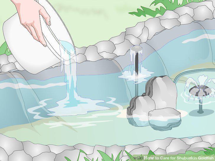 Step 12