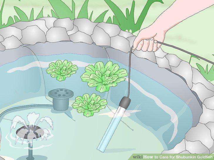 Step 14