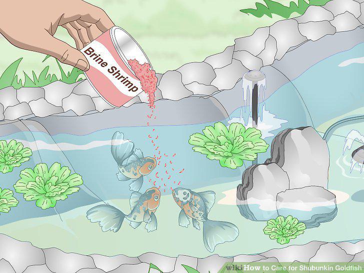 Step 20