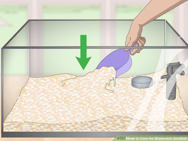 Step 3