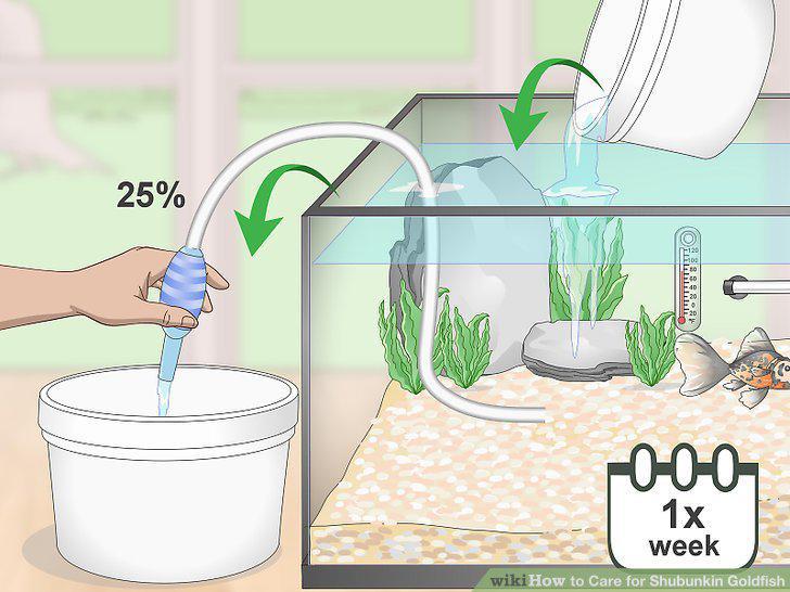 Step 6