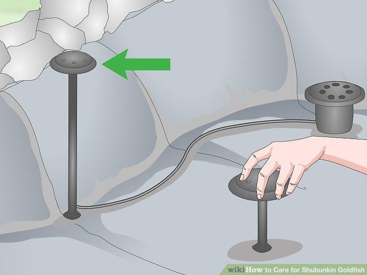 Step 9