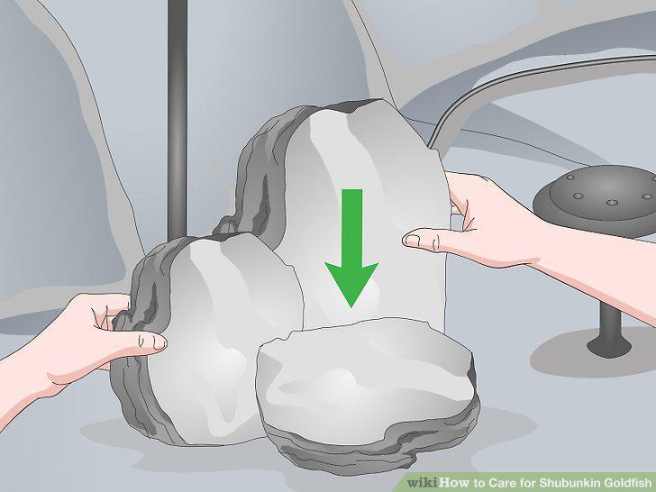 Step 10