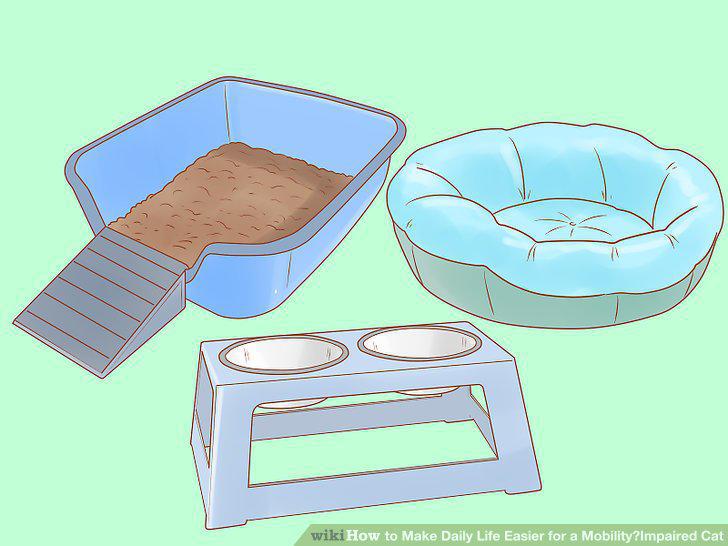 Step 2
