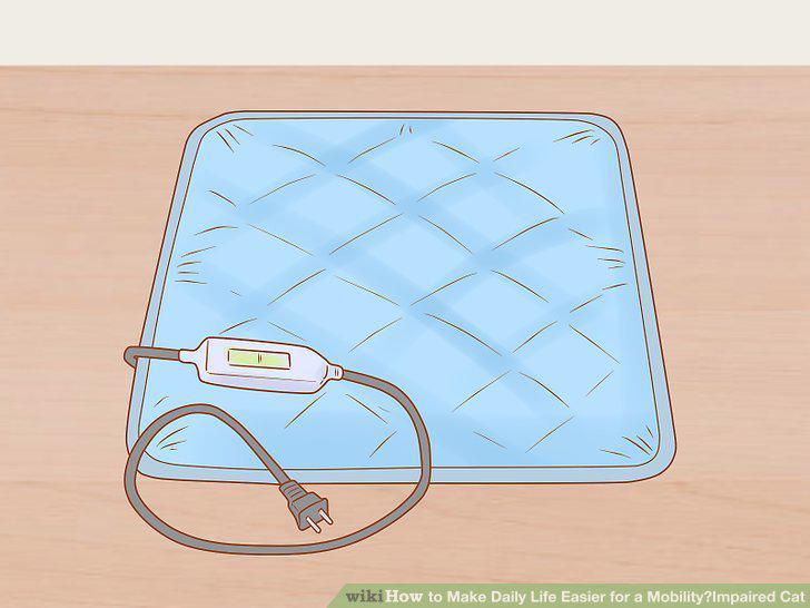 Step 11