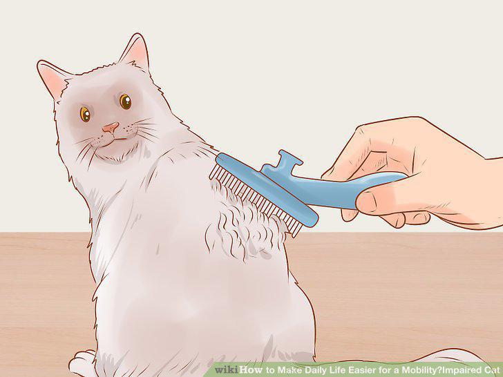 Step 5