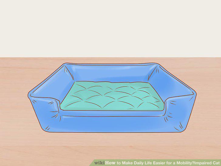Step 9