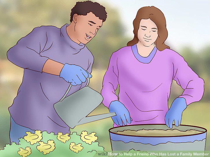 Step 12