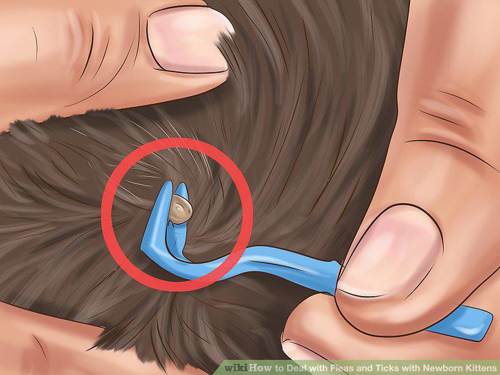 Step 3