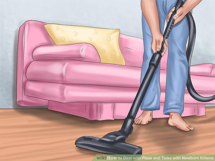 Step 10