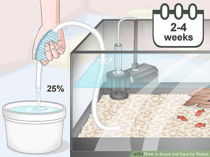Step 11