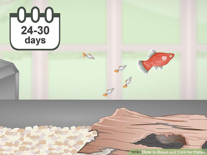 Step 14