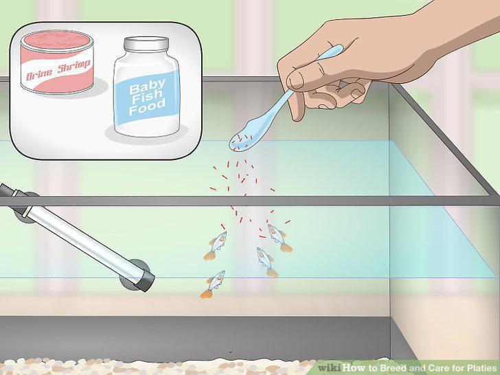 Step 16