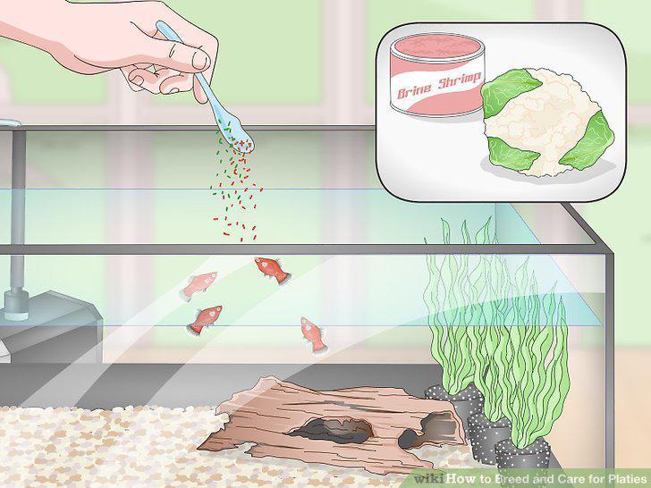 Step 9
