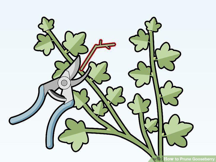 Step 8