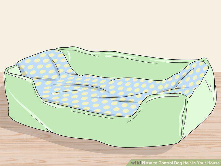 Step 10