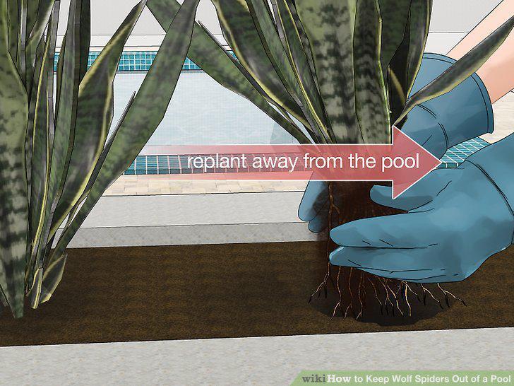 Step 5