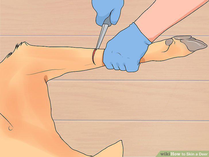 Step 2