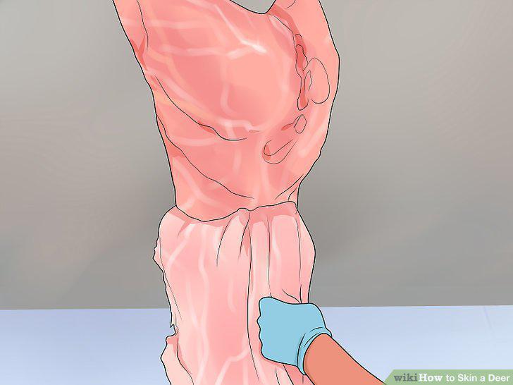 Step 12