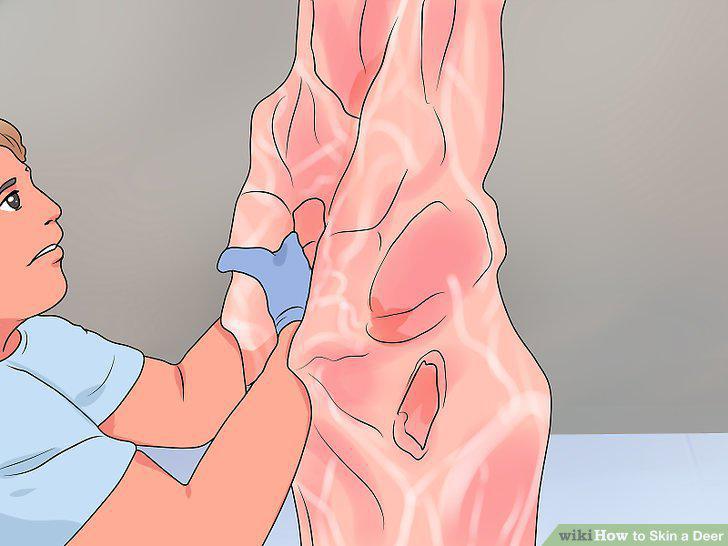 Step 13
