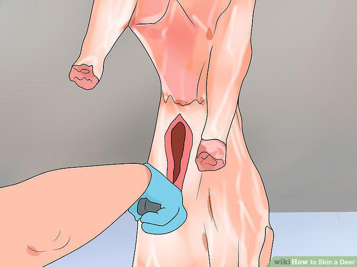 Step 14