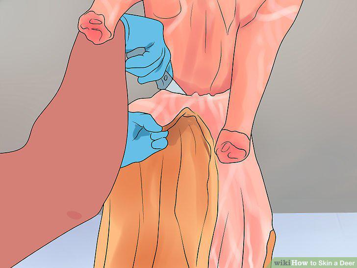 Step 15