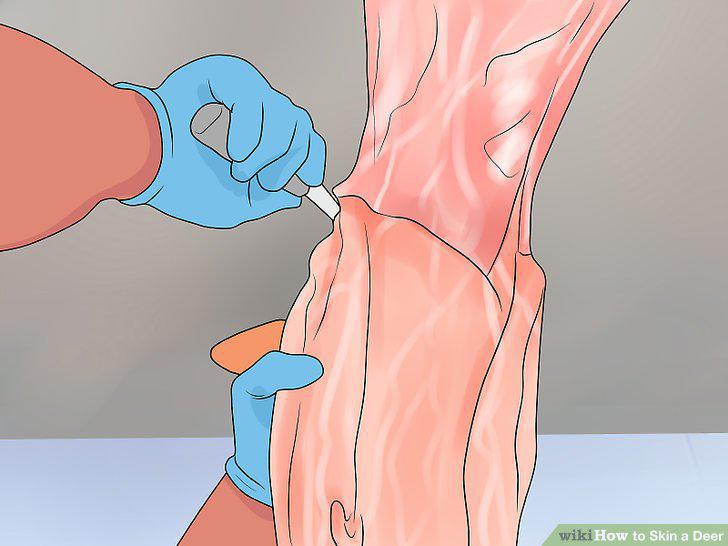 Step 16