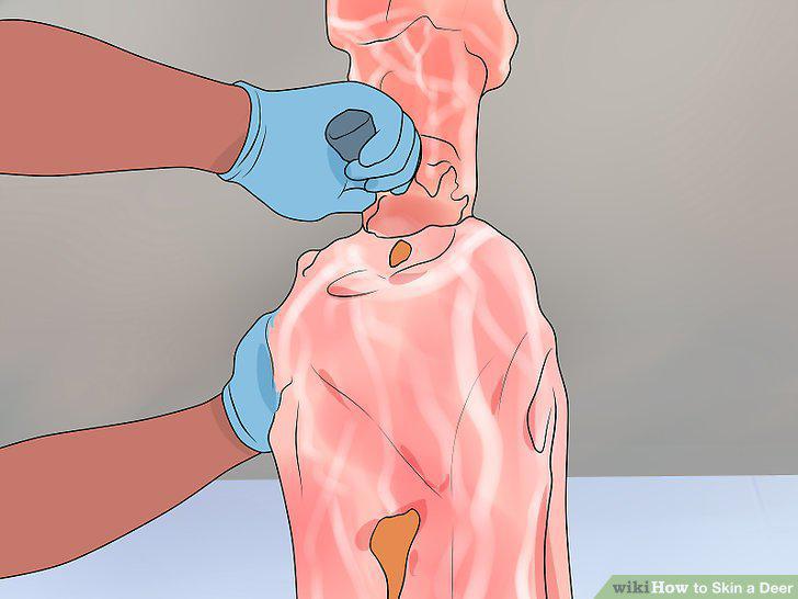 Step 17